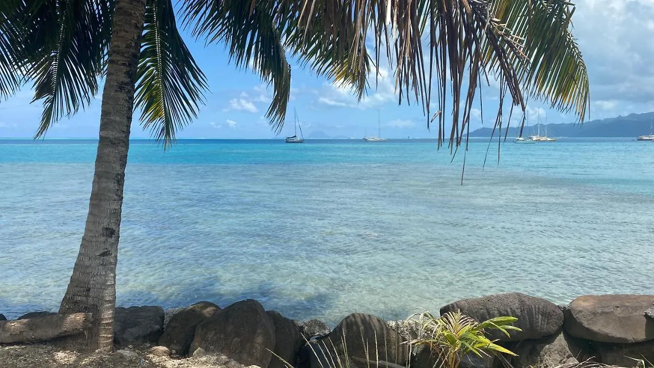 Botel Catamaran Apetahi Hotel Uturoa Frans-Polynesië